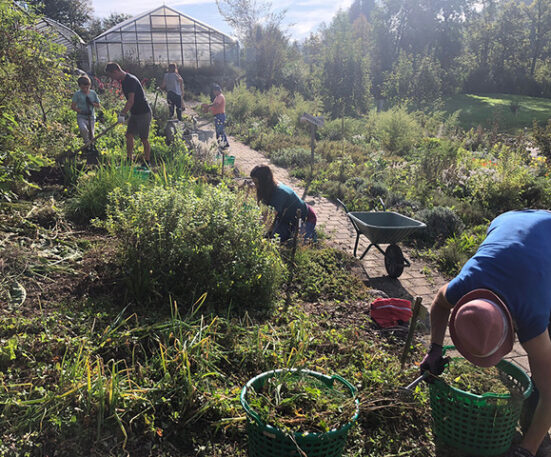 Heilkräutergarten mit Menschen am Ernten
