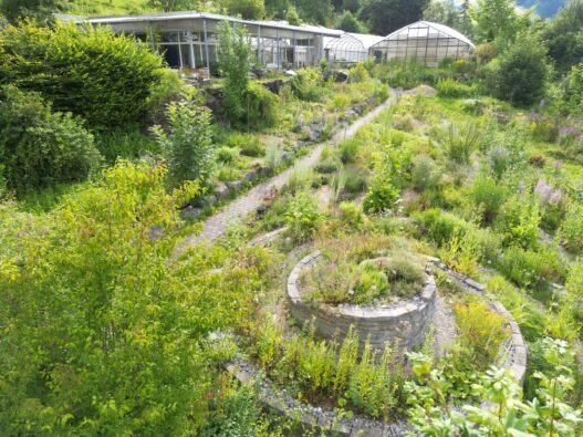 Heilkräutergarten im Auboden Sommer 2024