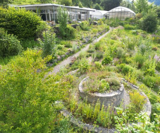 Heilkräutergarten im Auboden Sommer 2024