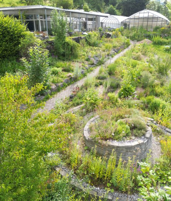 Heilkräutergarten im Auboden Sommer 2024